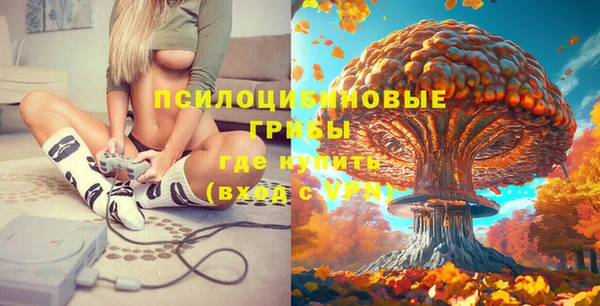 2c-b Волосово