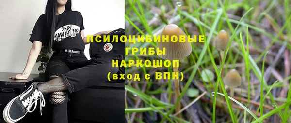 spice Волоколамск