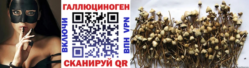Галлюциногенные грибы Cubensis  Купить  Суровикино 